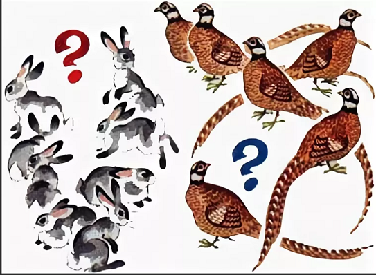 Сколько голов и ног у фазана. Фазаны и кролики. Задачи типа фазаны и кролики.